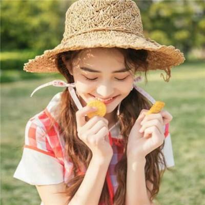 元气骑士单机版下载